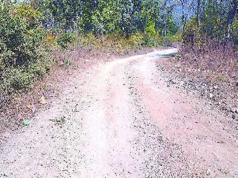 Unpaved backward village revenue Dhapla